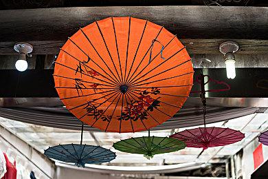 《怪物猎人：荒野》波衣龙新演示 “爆衣”机制展示